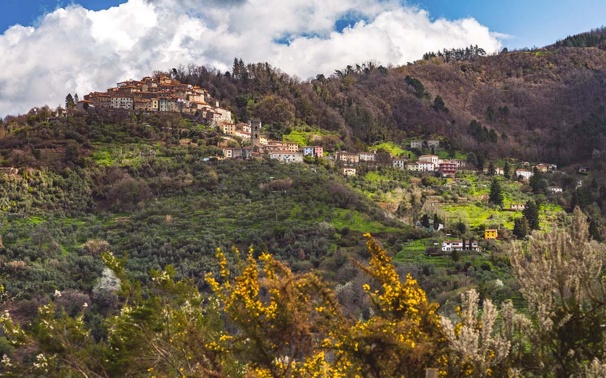 tuscanyspirits-la-gioiella-region-3